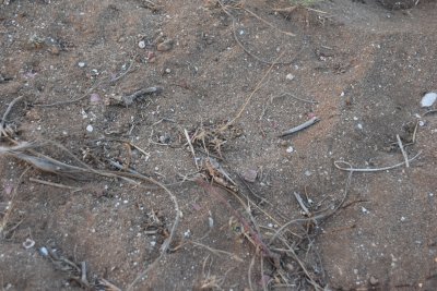 34.88166666666667,-6.29055555555556