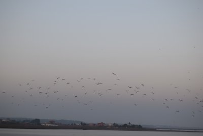 34.88166666666667,-6.29055555555556