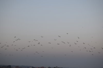 34.88166666666667,-6.29055555555556