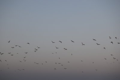 34.88166666666667,-6.29055555555556