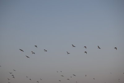 34.88166666666667,-6.29055555555556