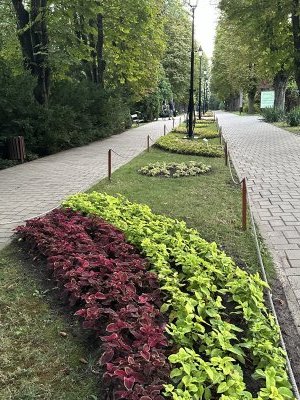 47.18643611111111,27.55744444444445