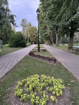 47.18591944444444,27.55564444444445