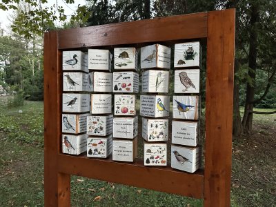 47.18607222222222,27.55639722222222