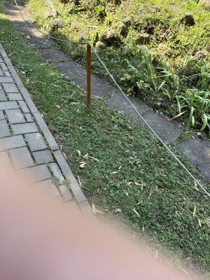 47.186,27.55606666666667