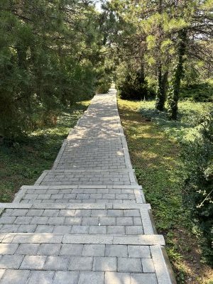 47.18606944444444,27.55428055555556