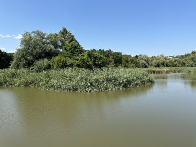 47.18516111111111,27.54918055555556