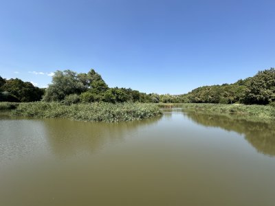 47.18516111111111,27.54917777777778