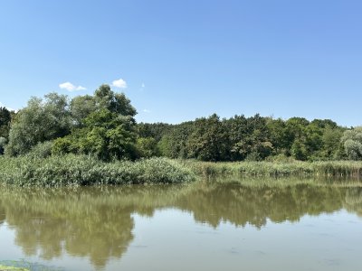 47.18512222222222,27.54969722222222