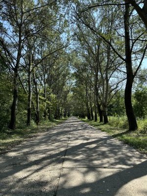 47.18356666666666,27.54944166666667