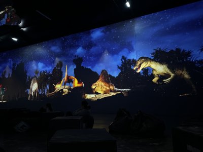 47.14656388888889,27.59723888888889