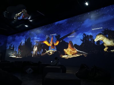 47.14657222222222,27.59707777777778