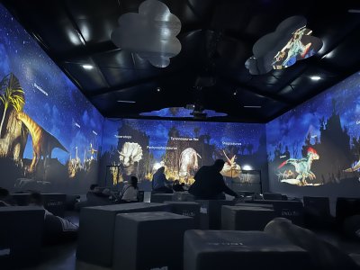 Mina -  Expozitii imersive