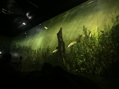 47.146525,27.59734444444444