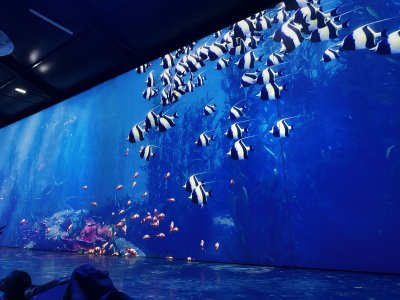 47.14651388888889,27.59737222222222