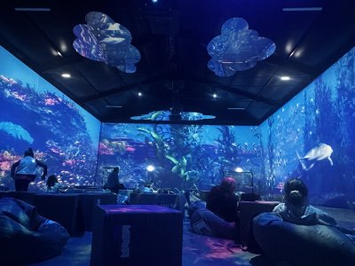 47.14650277777778,27.59738888888889