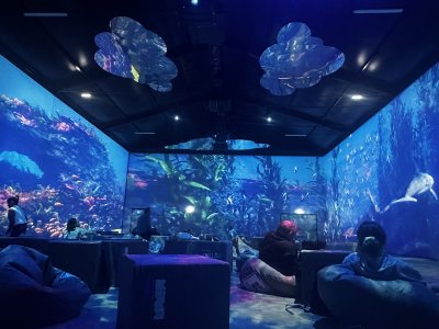 47.14649444444444,27.59738333333333