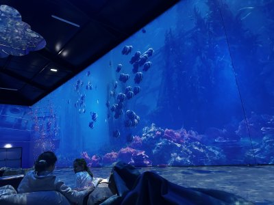 47.14656111111111,27.59724722222222