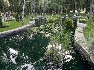 47.17795277777778,27.56884722222222