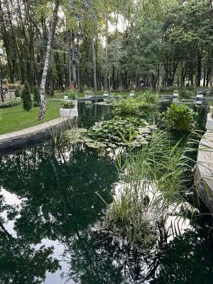 47.17795555555556,27.56884444444444