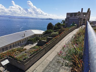 37.82678222638889,-122.42275238027779