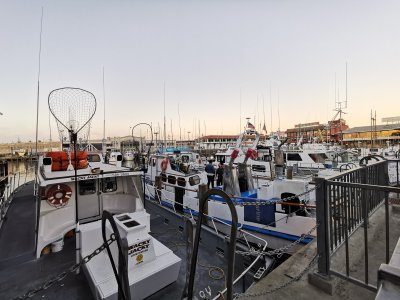 37.80809402444444,-122.41732788083334