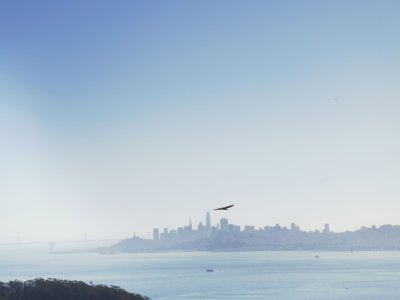 37.83777236916667,-122.48587036111111