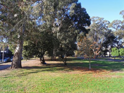 37.77249526972222,-122.44588470444445