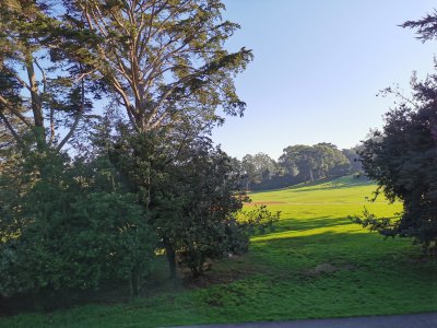 37.76628112777778,-122.46642303444445